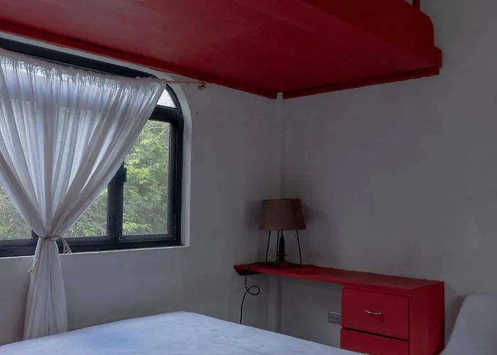 Ama-gi Holistic Casa de hóspedes Puerto Morelos